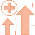 Icon 1