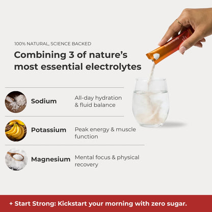 Electrolyte Powder (20x)